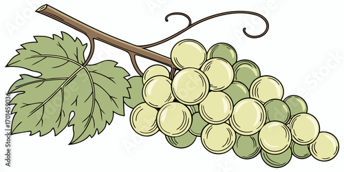 A realistic bunch of green grapes with smooth, glossy skin, arranged tightly together and attached to a brown stem. A few vibrant green grapevine leaves are also attached. The lighting is soft and nat