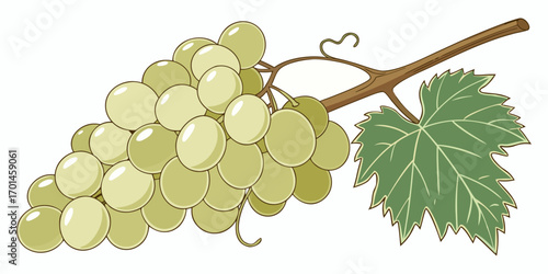A realistic bunch of green grapes with smooth, glossy skin, arranged tightly together and attached to a brown stem. A few vibrant green grapevine leaves are also attached. The lighting is soft and nat
