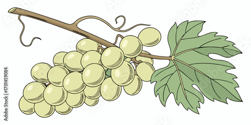 A realistic bunch of green grapes with smooth, glossy skin, arranged tightly together and attached to a brown stem. A few vibrant green grapevine leaves are also attached. The lighting is soft and nat