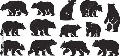 Bear silhouette, wild animal vector, forest wildlife graphic, grizzly illustration, nature symbol, predator art, outdoor design, hunting icon, strong mammal image