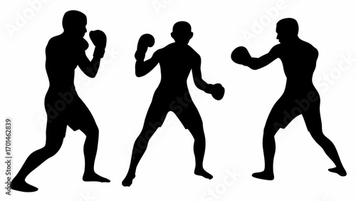 Silhouette illustration of three boxers in fighting stances with boxing gloves on a white background