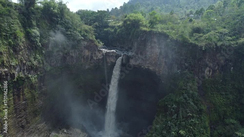 waterfall in the forest