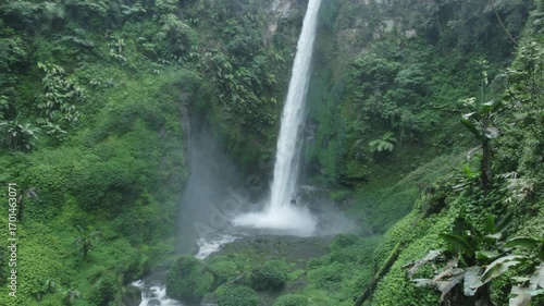 waterfall in the forest