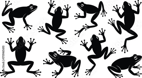 Frog silhouettes vector illustration, amphibian animal artwork, jumping frog design, wildlife nature graphic, tropical jungle frog symbol, climbing frog collection, black