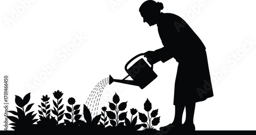 Silhouette of Elderly Woman Watering Flower Garden Using Watering Can – Nature Gardening Scene, Sustainability, Eco Life and Growth Vector