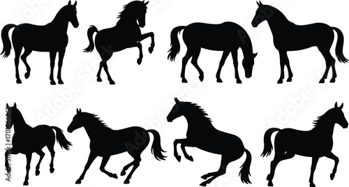 Horse silhouettes collection, running horses, standing horses, grazing horses, wild stallion artwork, black vector illustration, equestrian design, farm animal nature art