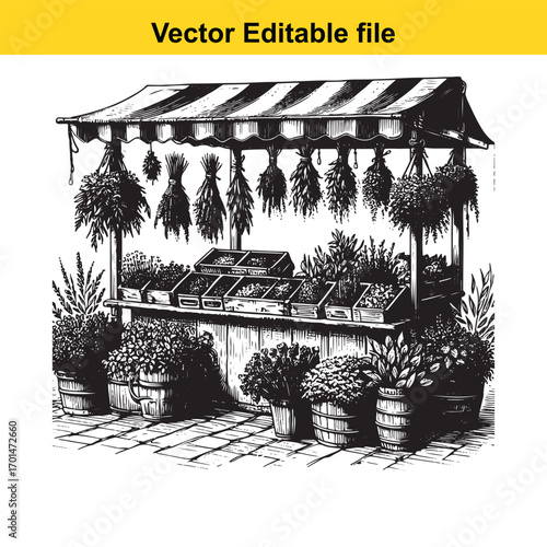 Herbalist stall with various herbs and plants displayed in pots and crates