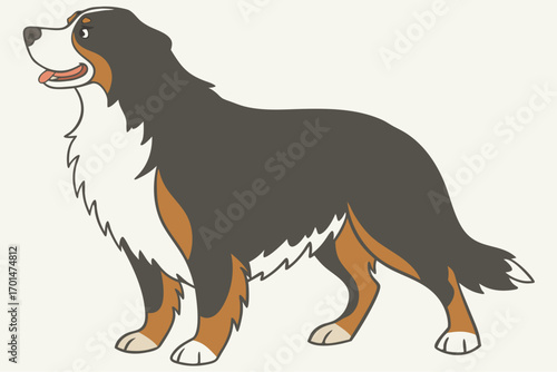 Bernese Mountain dog illustration