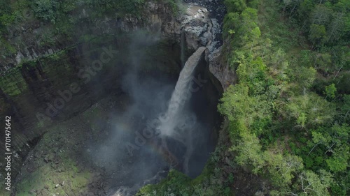waterfall in the forest