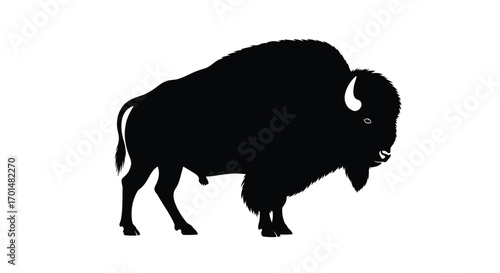Majestic silhouette of a powerful bison roaming freely across vast open plains of north america