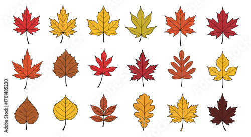 Autumn fall season leaves collection decorative elements for fall harvest and thanksgiving decorations