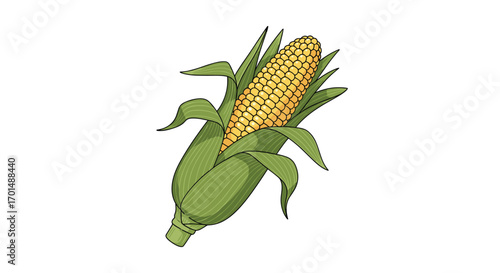 Freshly harvested ripe corn on the cob with green husks showing yellow kernels ready for cooking and eating