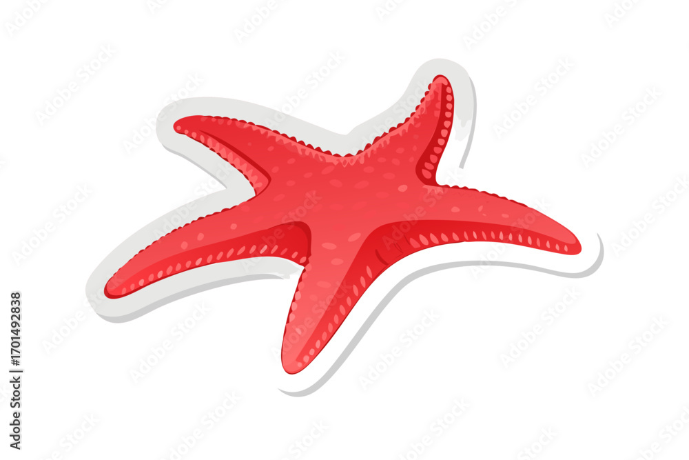 Obraz premium Red starfish