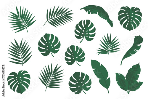 tropical foliage illustrations seamless leaf patterns evergreen jungle rainforest greenery ai eps vector graphics