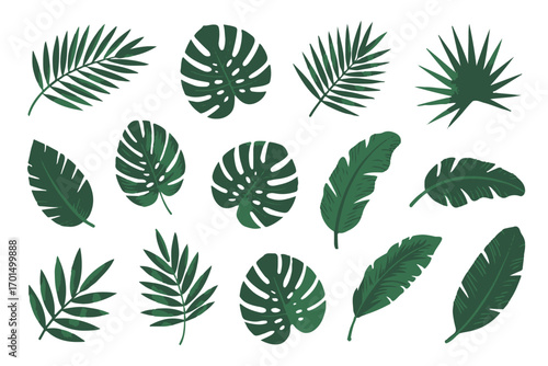 botanical vector pack tropical leaves seamless pattern set for packaging textile wallpaper design ai eps jpeg png