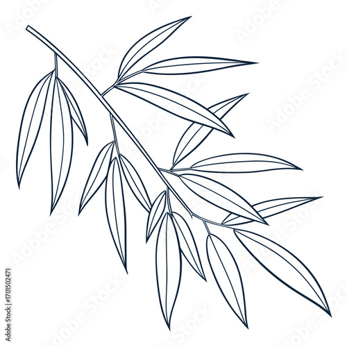 Elegant minimalist line art drawing of a bamboo branch with slender leaves on a white background
