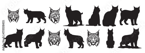 bobcat silhouette white background
