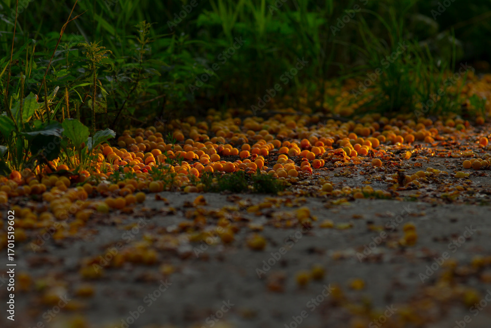Fototapeta premium Vibrant orange and yellow leaves scatter across a pathway, surrounded by lush greenery, capturing the beauty of autumn.