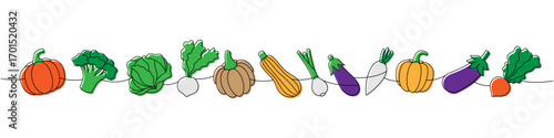 Pumpkin, broccoli, cabbage, turnip, zucchini, onion, radish, eggplant one line colored continuous drawing. Fresh organic vegetables.