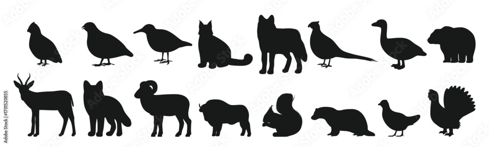 Fototapeta premium bear duck buffalo wolf panther fox silhouette