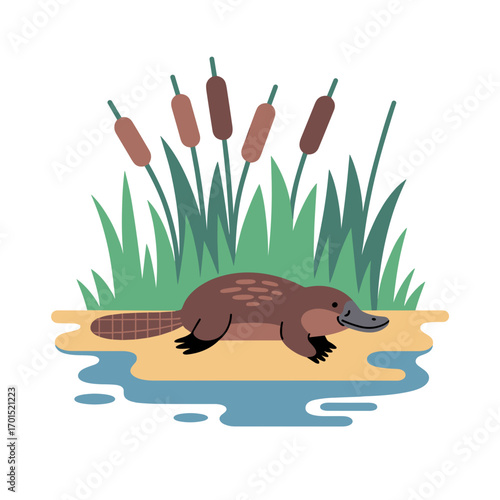 Cute Platypus Sleeping by Riverbank Illustration