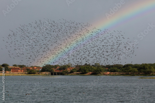 rainbow over the lake
