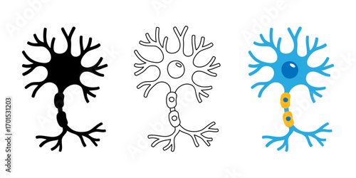 Triplet neurons design in silhouette, outline, and flat color style. Highlighting dendritic structure and axonal pathway