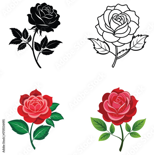 set of rosa gallica outline, silhouette, colourful vector within white background.