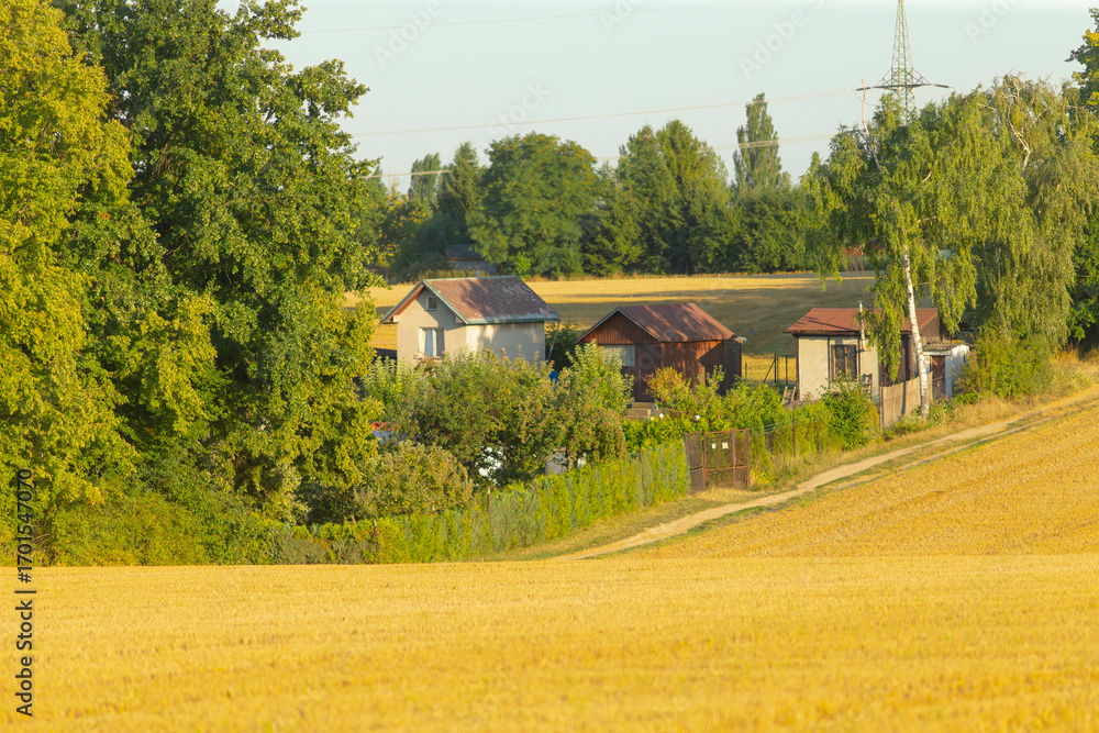 Obraz premium A picturesque rural scene featuring traditional homes surrounded by lush greenery and golden fields, perfect for capturing the essence of countryside tranquility.