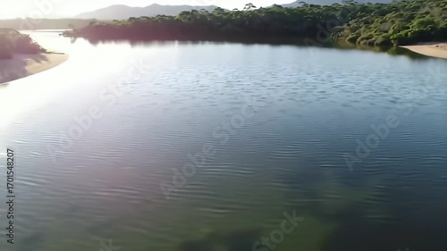 reflection of trees in the water