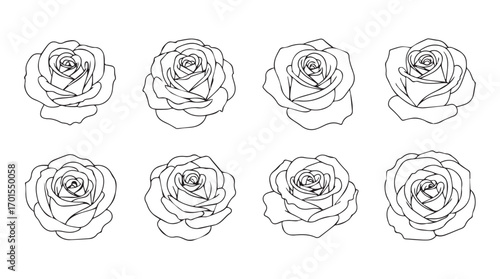 Collection of eight detailed rose flower head outlines in silhouette