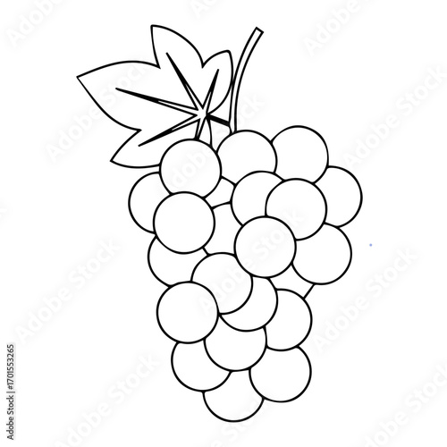 bunch of grapes