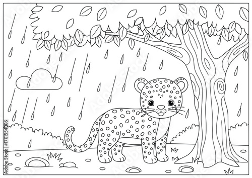 Leopard illustration of a cute leopard cub standing under a tree in the rain with raindrops falling clouds in the sky and bushes in the background drawn in a cartoon black and white vector for kids