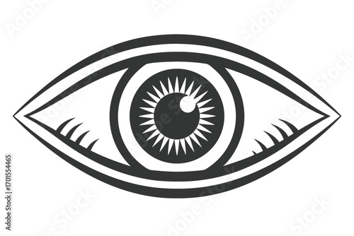 Detailed Eye with Stylized Eyelashes on White Background