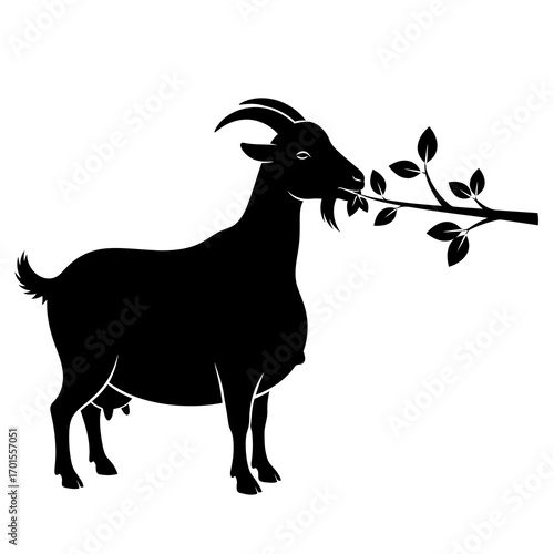 a pregnant goat eating leaves from a branch, silhouete