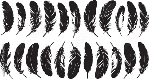 Set of 14 black silhouette feather illustrations, elegant bird feathers vector art, natural organic design, minimalistic style.