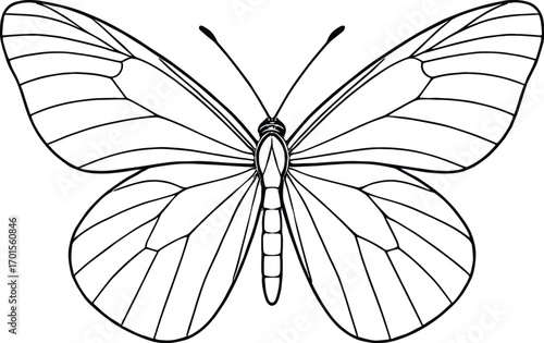 Vector line art, butterfly top view, open wings with fine vein details, symmetrical, black stroke, no fill