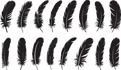 Set of 14 black silhouette feather illustrations, elegant bird feathers vector art, natural organic design, minimalistic style.