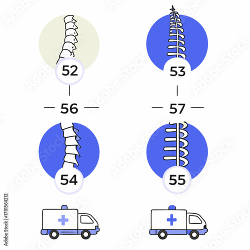 Illustrations of spinal vertebrae and ambulances with numbers