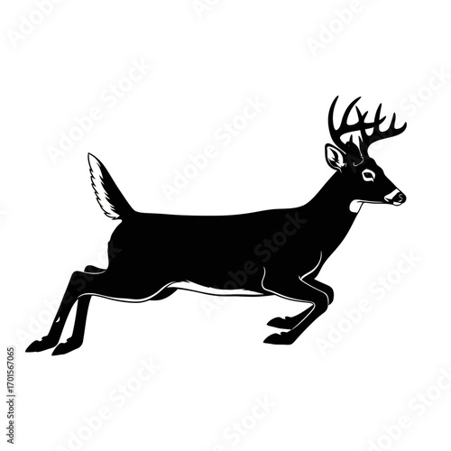 Vector Silhouette of an Agile White-Tailed Deer Leaping