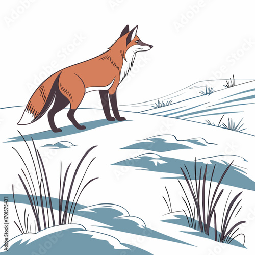 Vector art of a captivating illustration of a fox standing proudly on a snowy hill, surrounded by winter grasses, capturing the essence of wildlife in a serene, cold environment