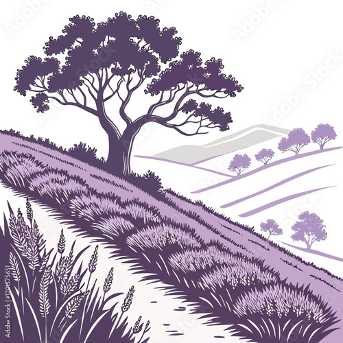 Vector art of a serene lavender field landscape, featuring a solitary tree, rolling hills, and rows of fragrant lavender flowers in full bloom under a clear sky