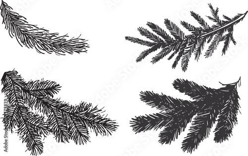 set of pine branches sketch