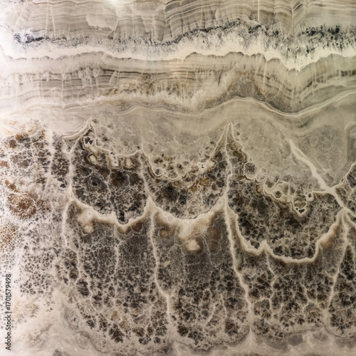 Elegant marble texture with intricate swirls, organic patterns, and earthy tones‚ perfect for backgrounds, decor, and nature-inspired designs