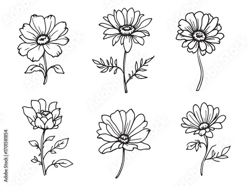 Calendula Brightening Natural Skin Care Remedy