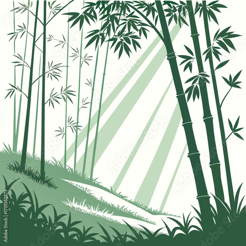 Green bamboo forest with sunlight streaming through the leaves