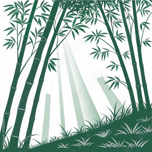 Sunlight filtering through a dense bamboo forest with green grass