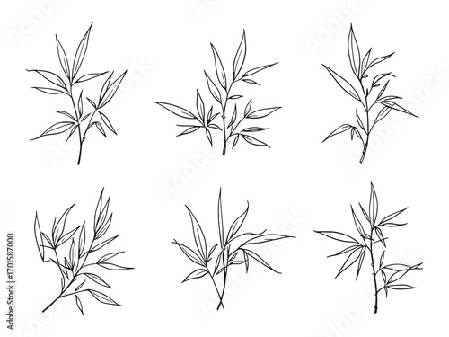Bamboo Leaf Brings Calm Natural Vibes