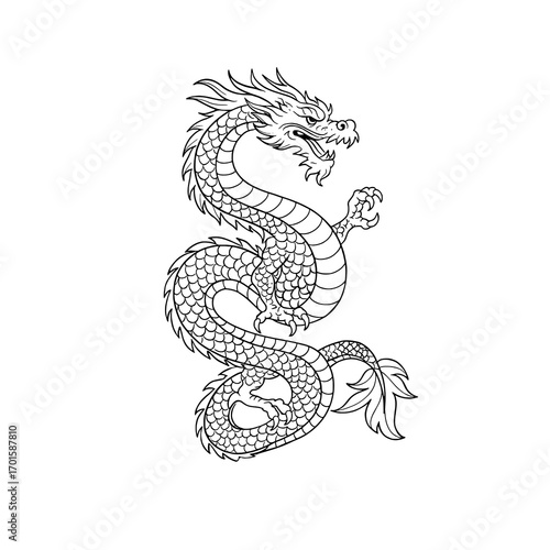 Chinese Dragon Black and White Vector Illustration

 
