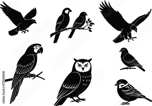 Bird silhouettes and illustrations including owl, parrot, sparrow, eagle, perched birds, flying birds, wildlife animals, nature vector illustrationBird silhouettes and illustration